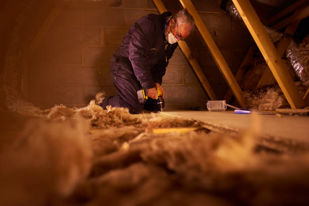 Best DIY Insulation Kits and Guidance in Berry College, GA